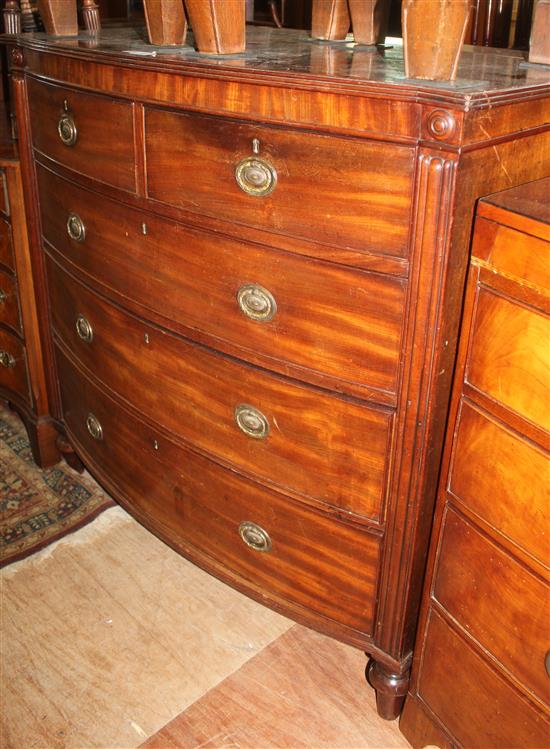 Regency mahogany bow front chest of drawers